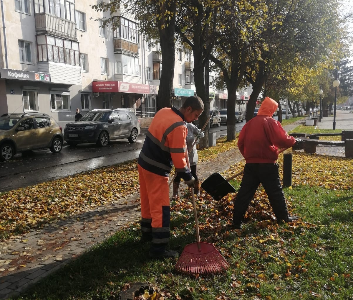 С улиц Йошкар-Олы каждый день вывозят до 15 кубометров листвы