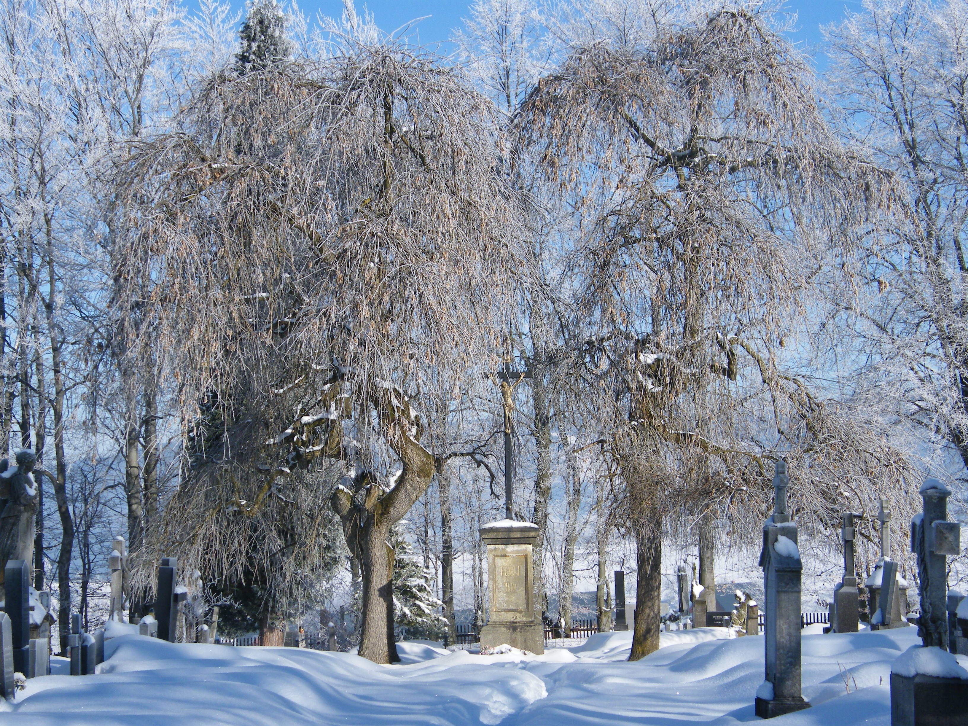 На Туруновском кладбище выделят место для захоронения погибших на СВО земляков