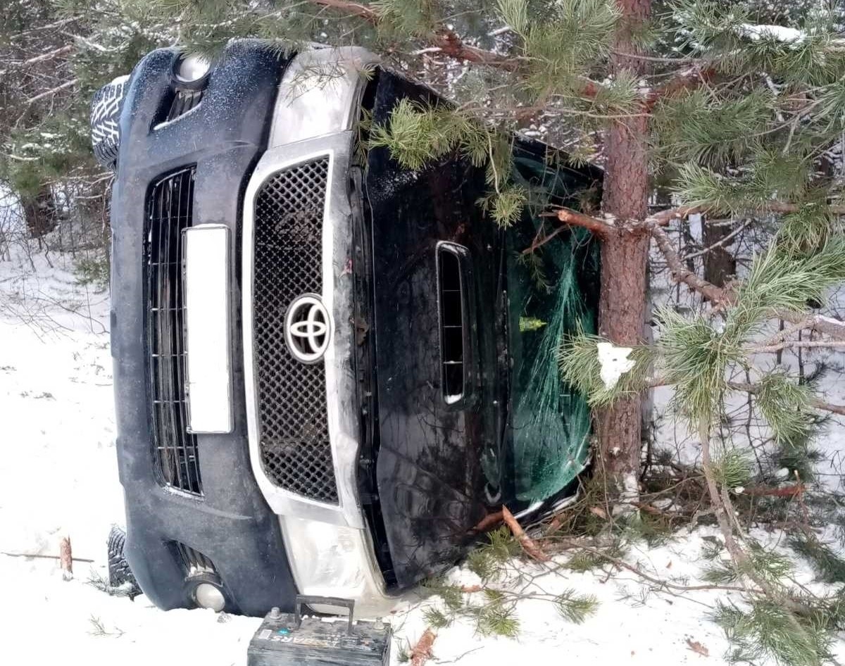 Спасатели Марий Эл помогли выбраться водителю из машины, которая врезалась в дерево