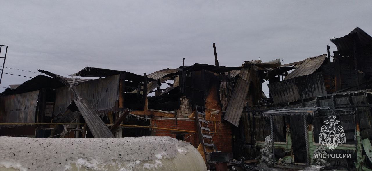 Пожарные вынесли из горящих домов Марий Эл 11 человек
