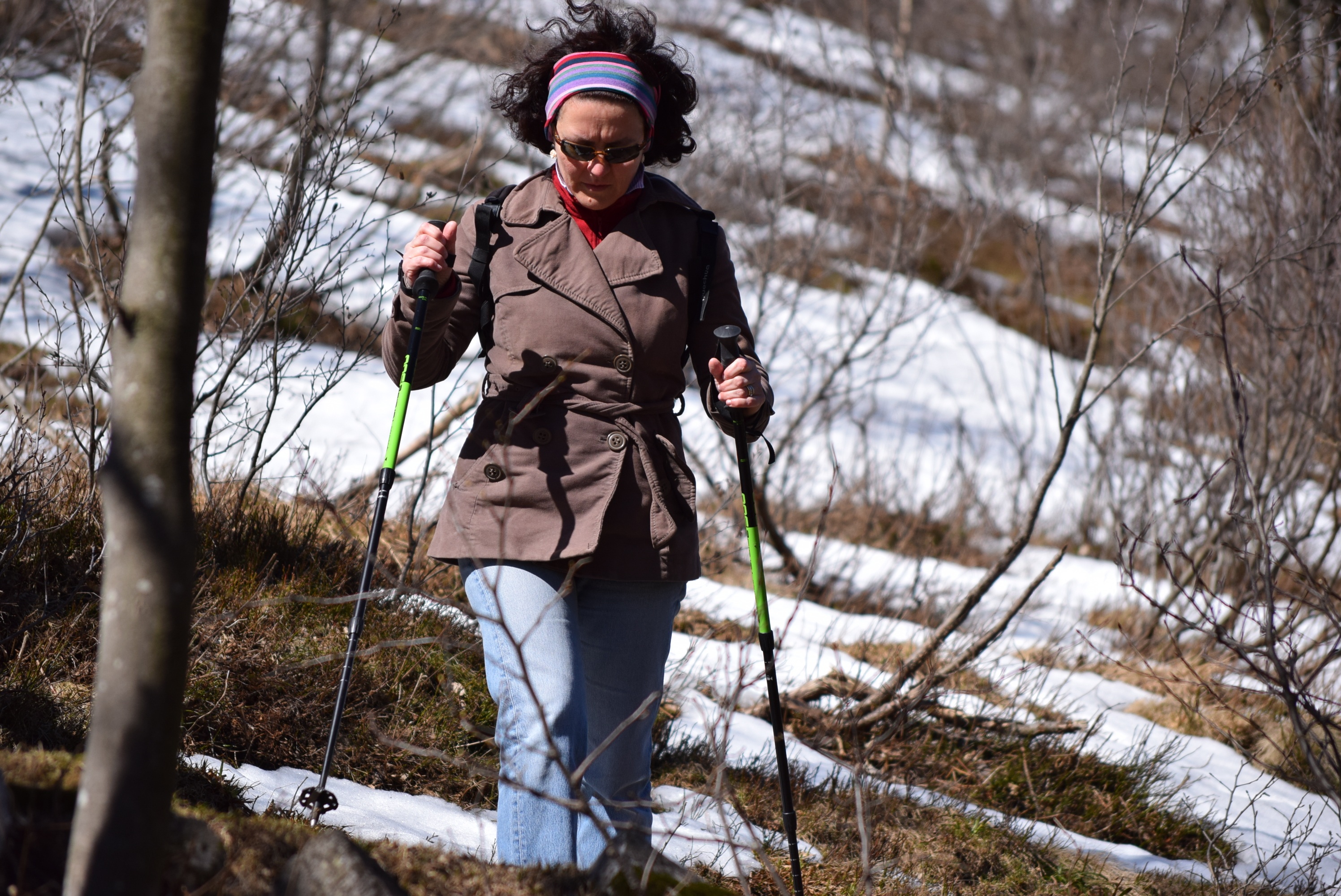 Йошкаролинцев в феврале дважды попробуют научить скандинавской ходьбе