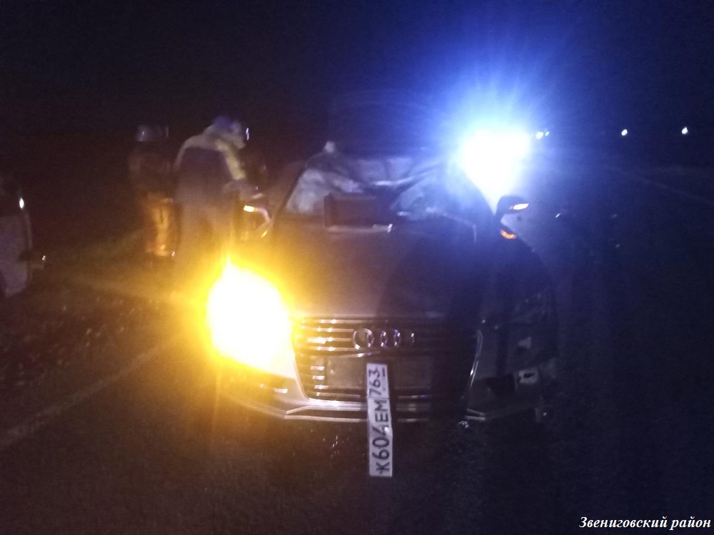 В Марий Эл водитель Audi попал в аварию, когда на дорогу выскочил лось