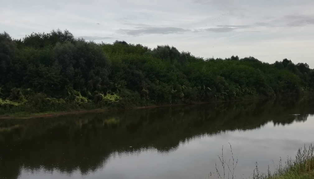 Женщина утонула в реке недалеко от дома в Медведевском районе