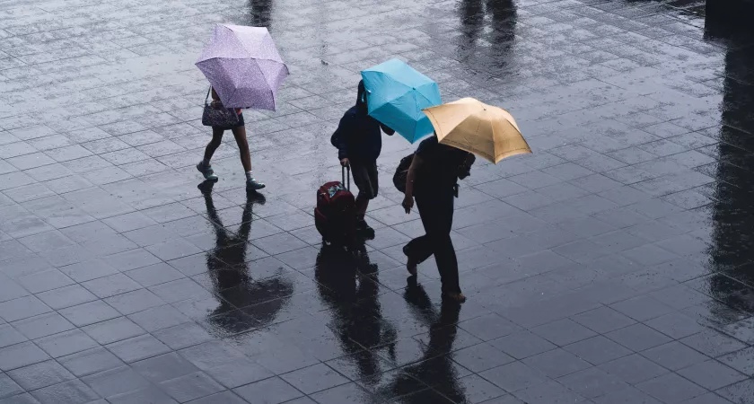 Не летняя погода: в Марий Эл ожидаются заморозки и дождь