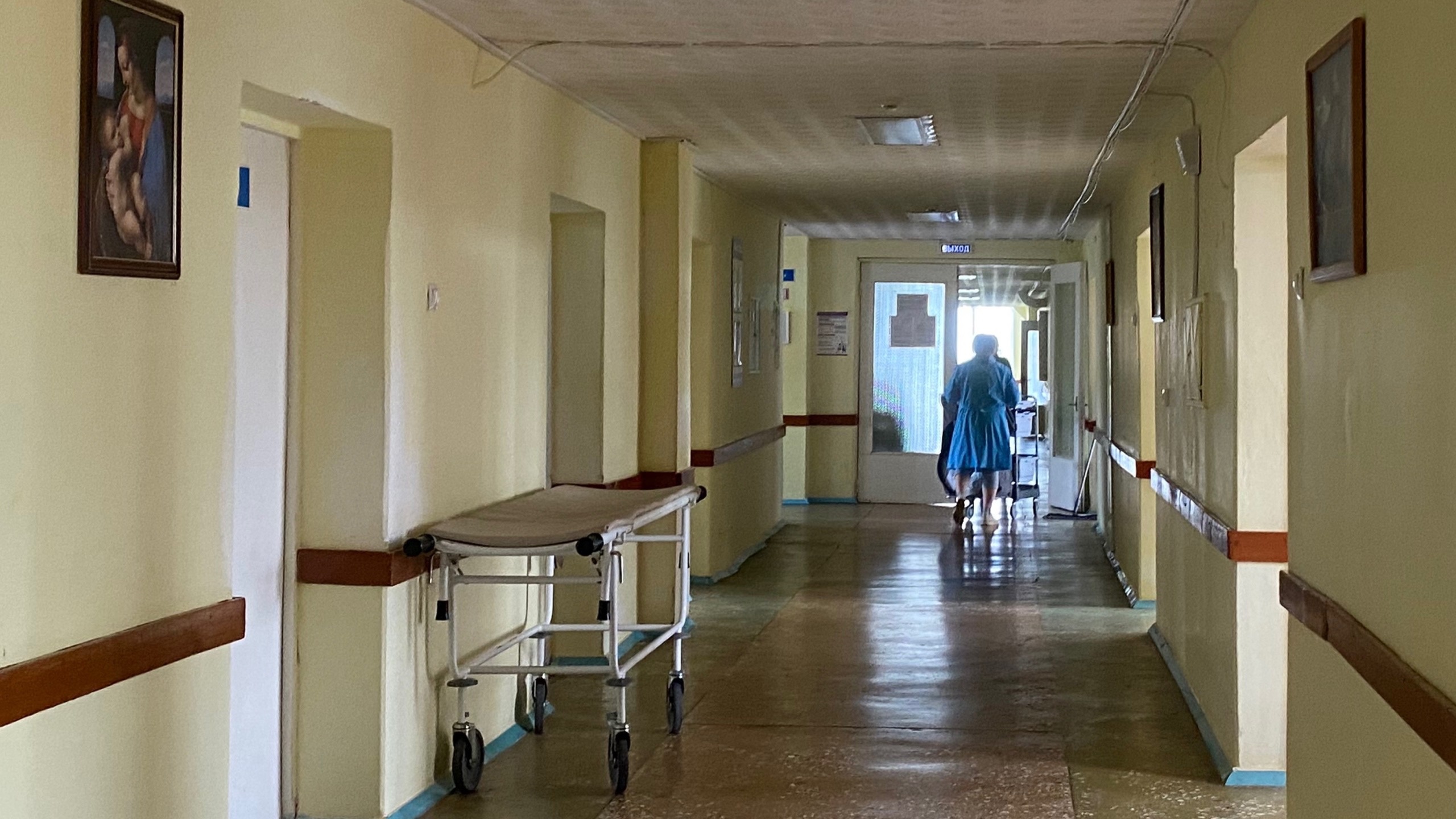 Более 15 жителей Марий Эл слегли в больницы с мышиной лихорадкой