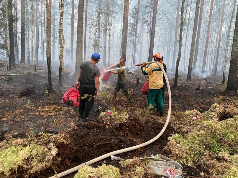 Шашлычники и отдыхающие дважды подожгли марийские леса
