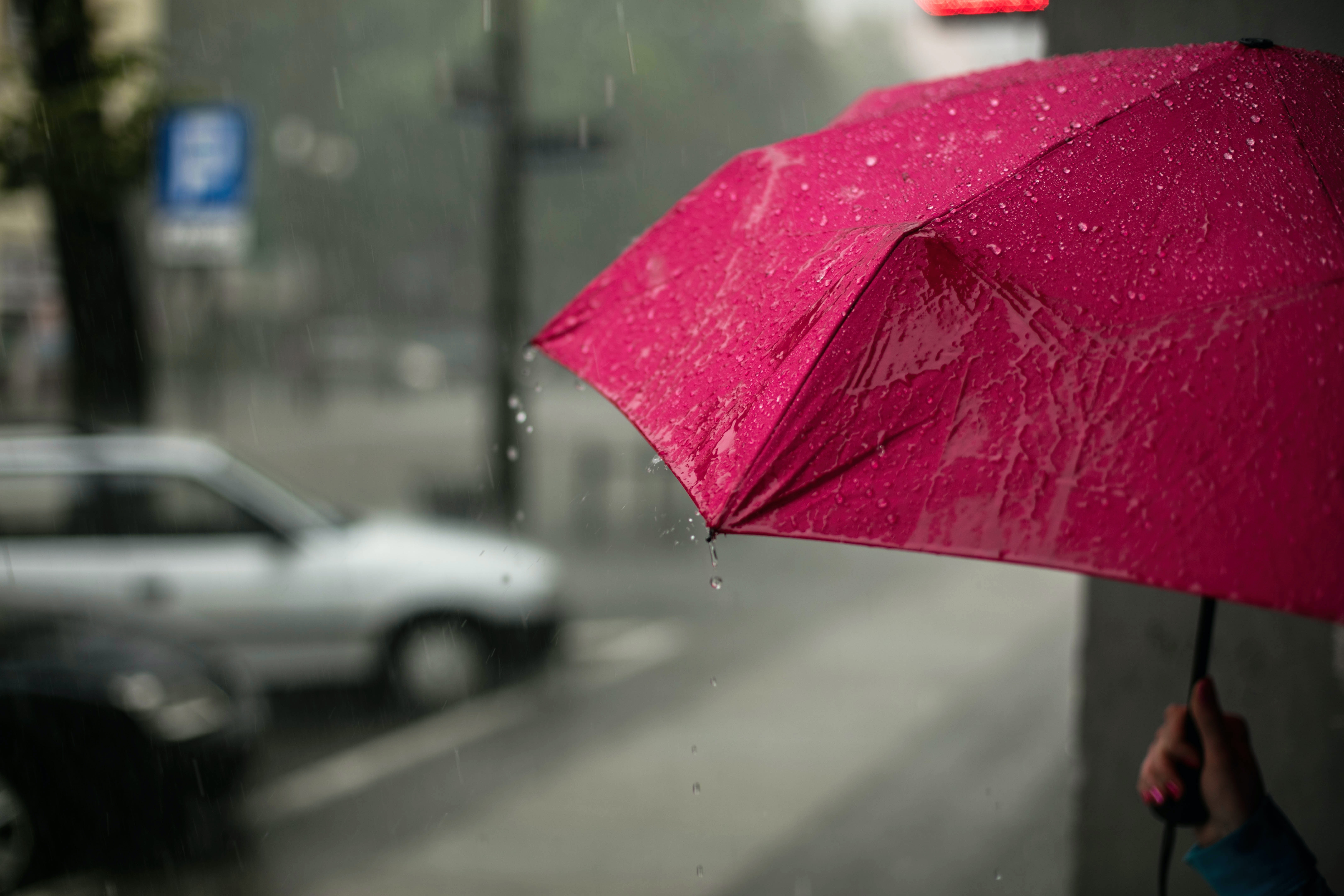 Дождь омрачит рабочий настрой жителям Марий Эл