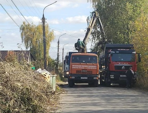 Мэр Волжска призвал горожан не бросать ветки и древесный мусор в контейнеры