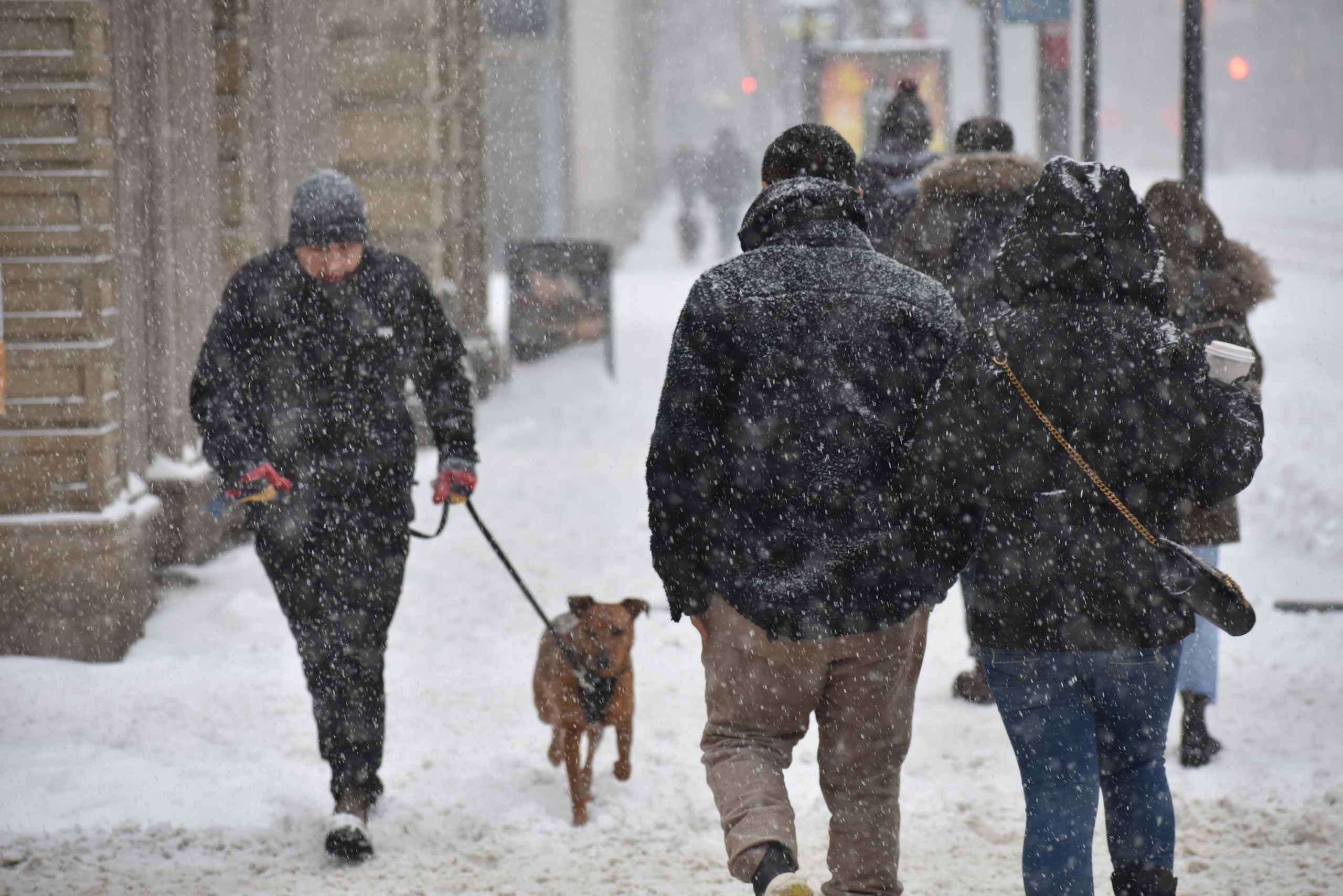 Синоптики прогнозируют снегопад и гололед в Марий Эл