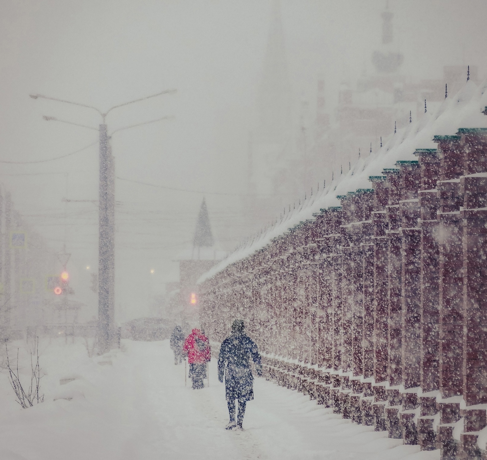 Январские снегопады предупреждают о дождливом лете: что скажет эколог о народных приметах зимы