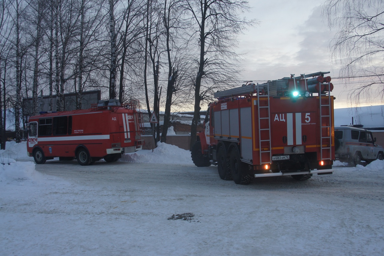 Девять пожарных ликвидировали пожар в Сернурском районе 
