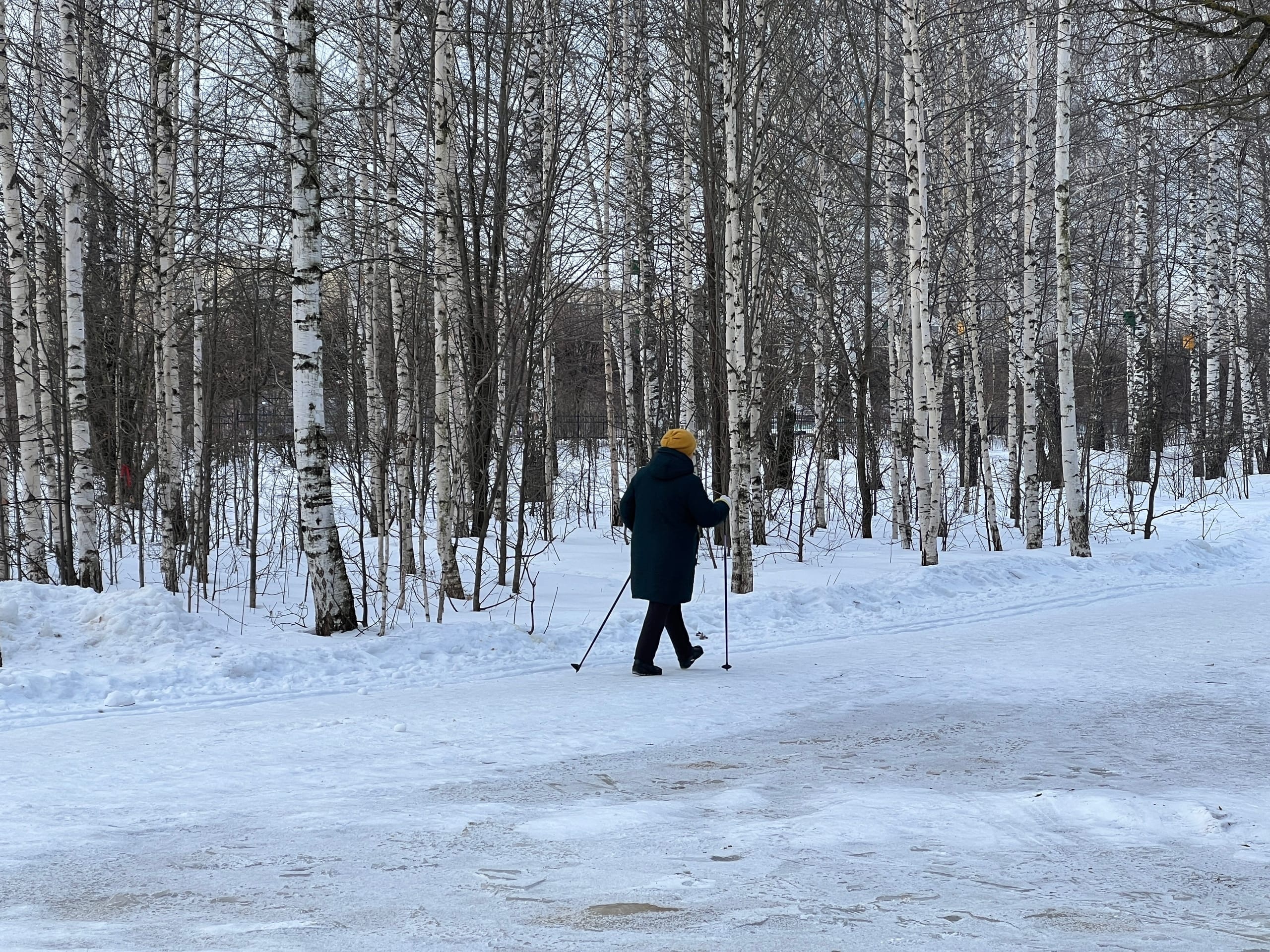 Первый в России музей скандинавской ходьбы откроют в Йошкар-Оле