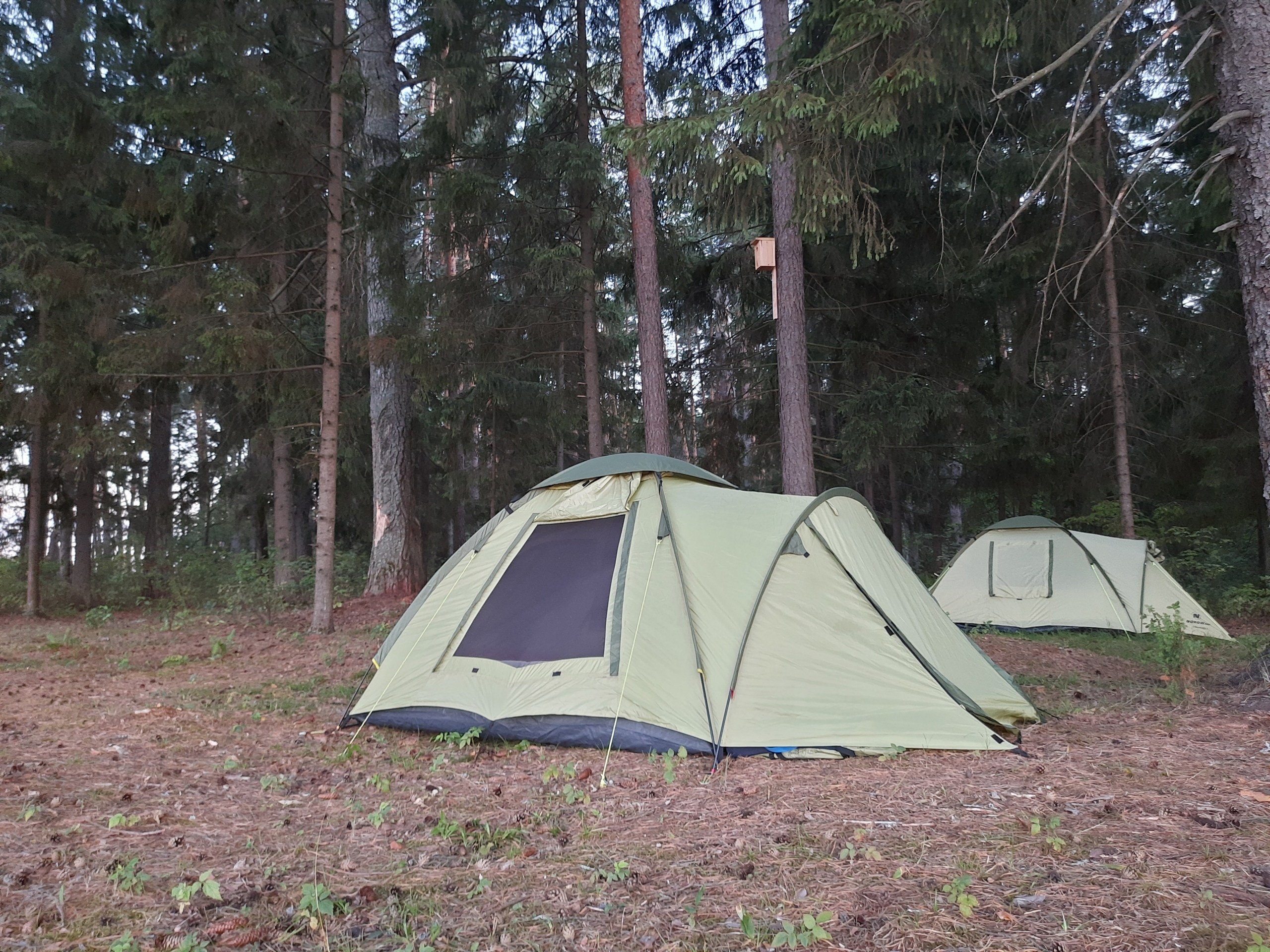 Марийский турист хотел зимнюю палатку, а получил обман и непонятно что