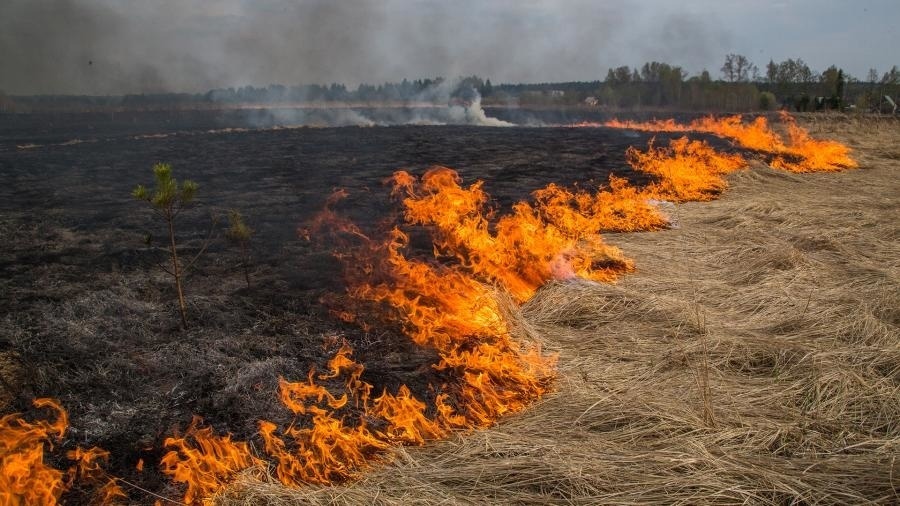 В Марий Эл зарегистрировано три случая возгораний сухой травы
