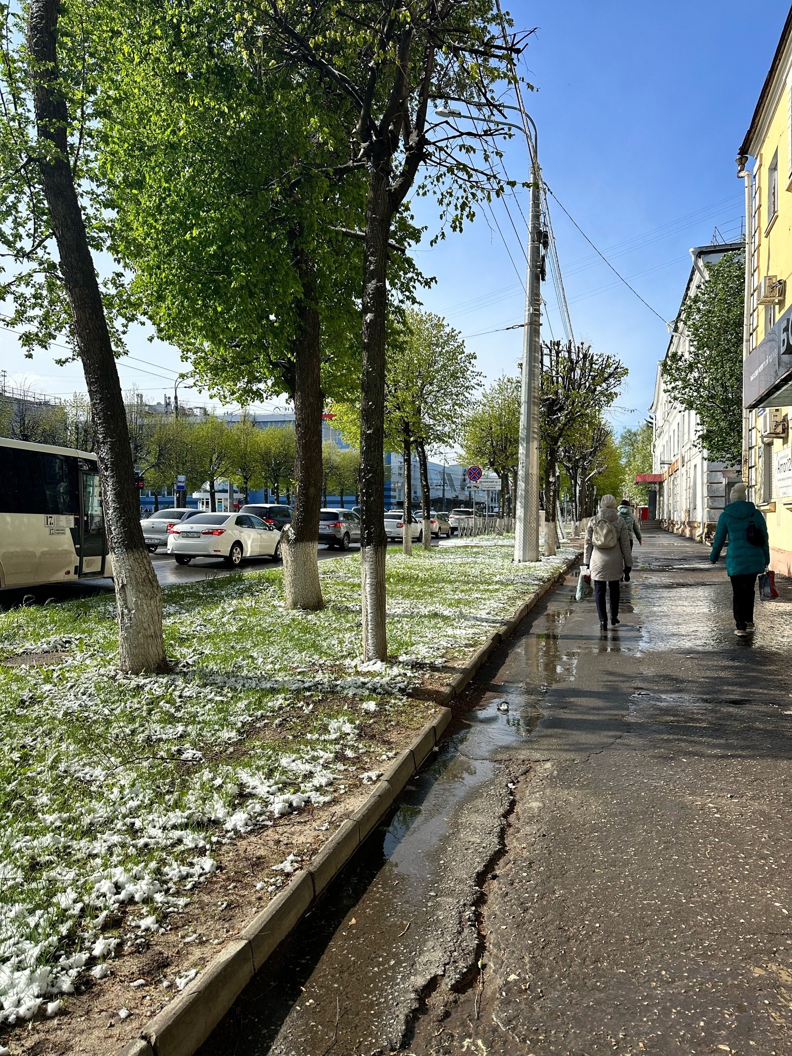 Цветущие улицы Марий Эл накрыл майский снег