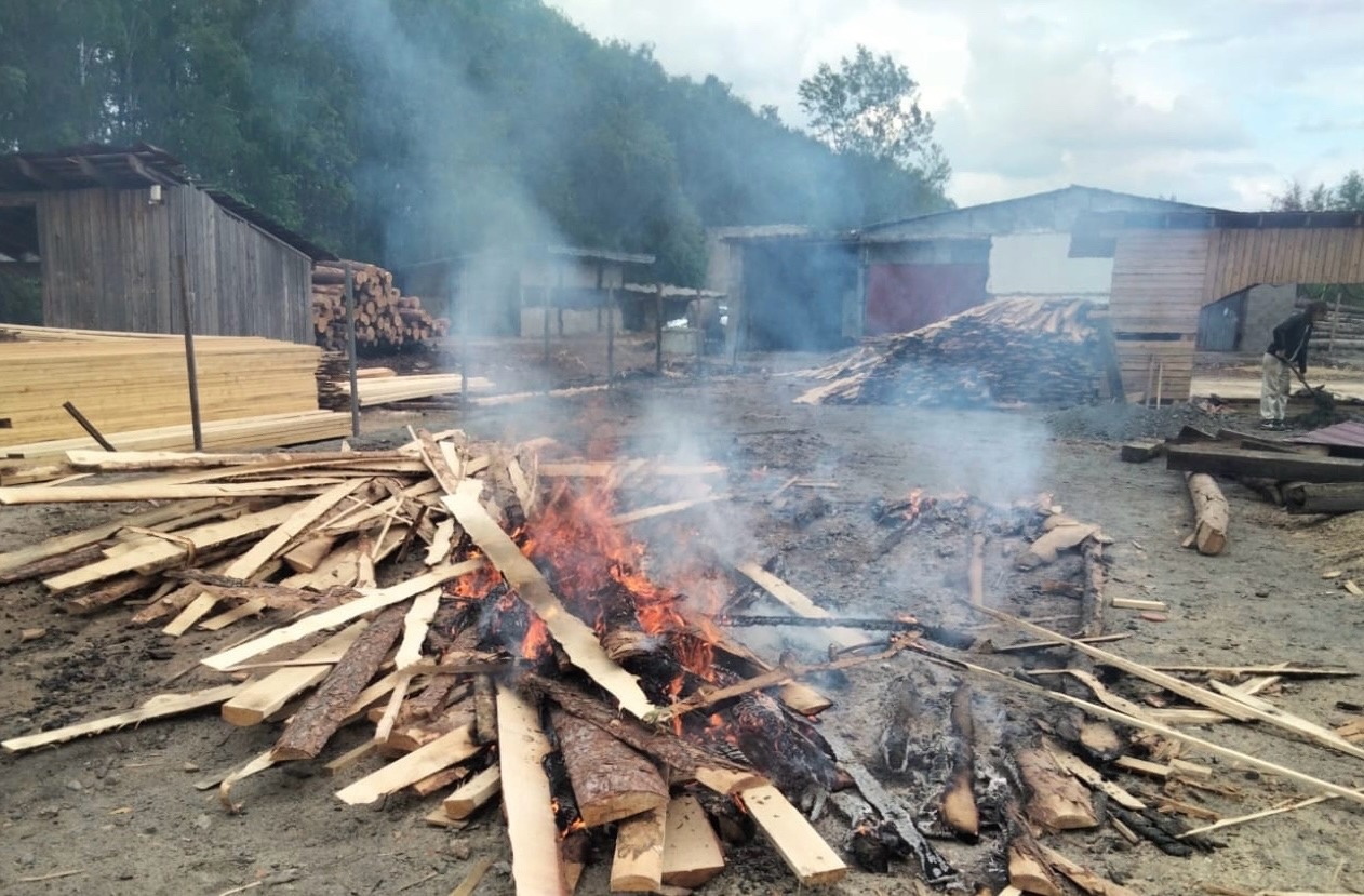 Поджигателю древесины в Йошкар-Оле грозит штраф