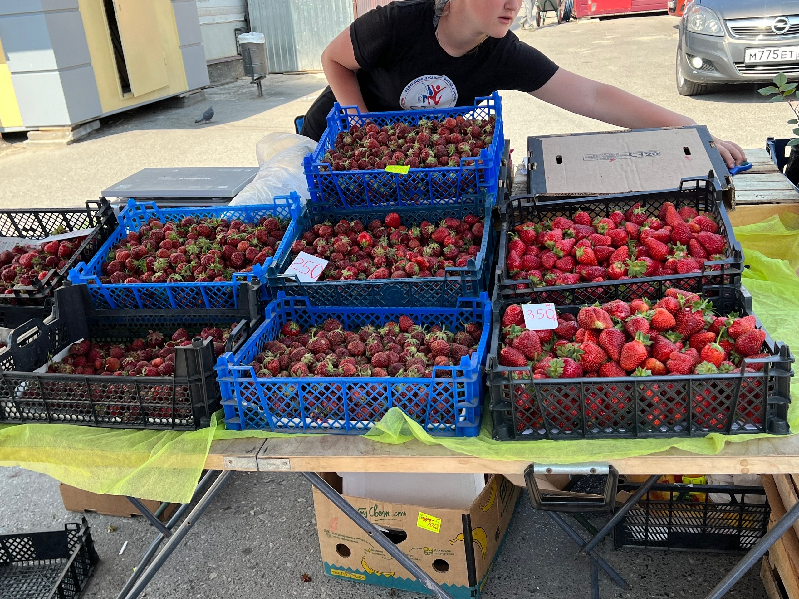 "Огромные чистые ягоды, хоть на продажу": опытные огородники молчат об этом удобрении