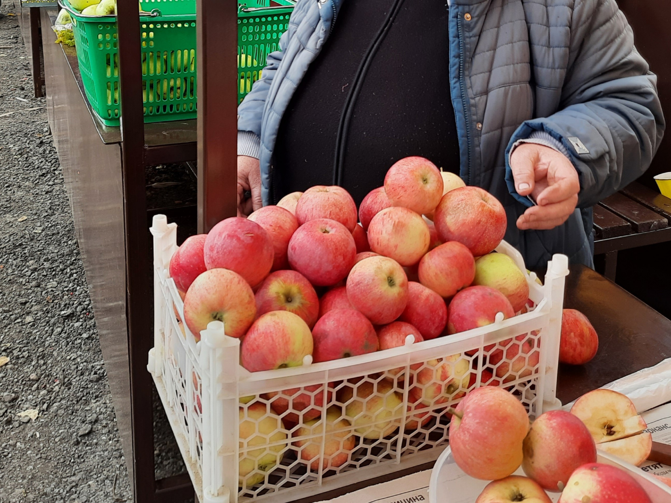 Сочные яблоки и сливы без единого червя: проверенное средство сделает все как надо