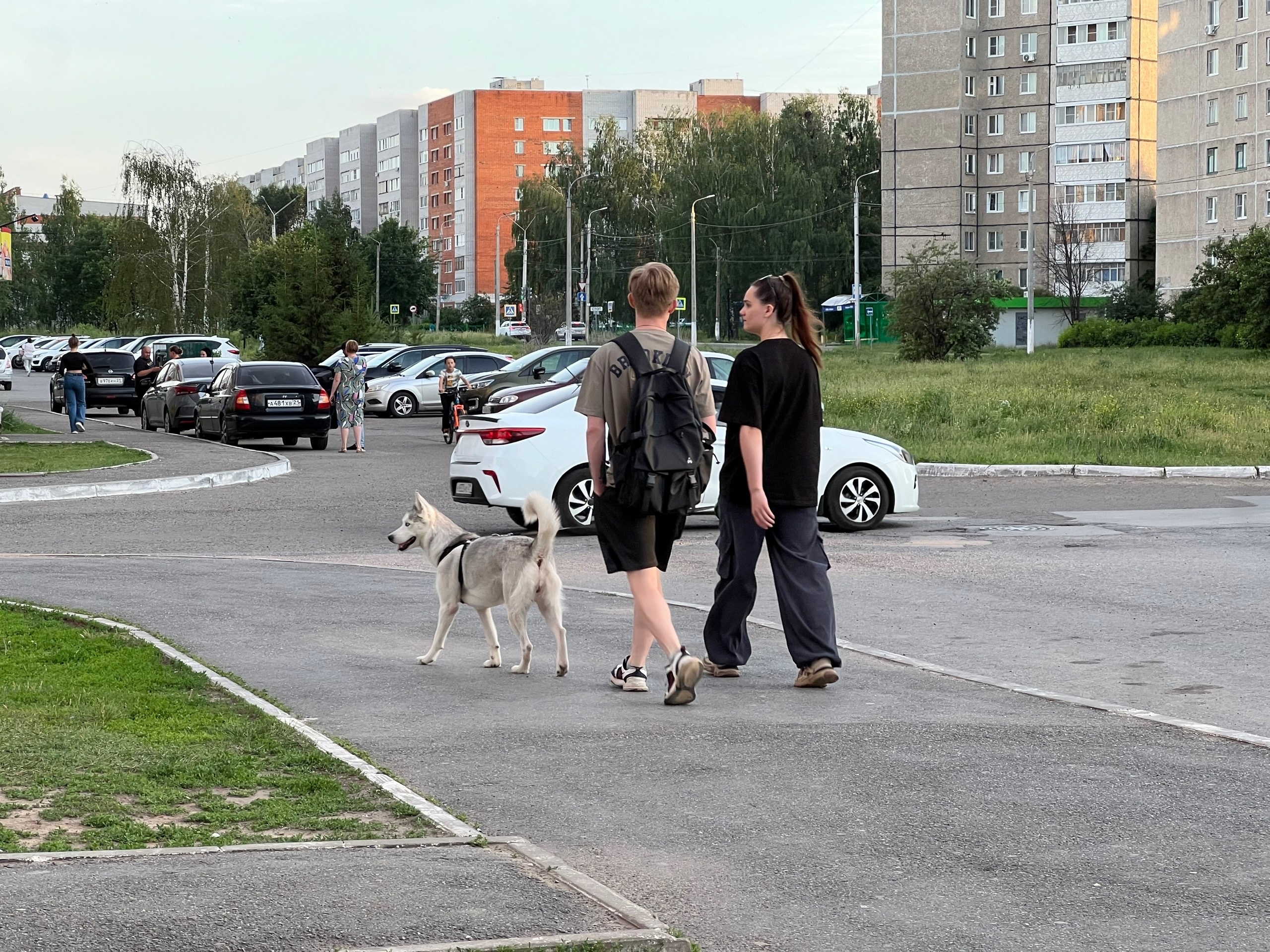 Этот тест даст ответы на все ваши вопросы и определит подходящего вам человека