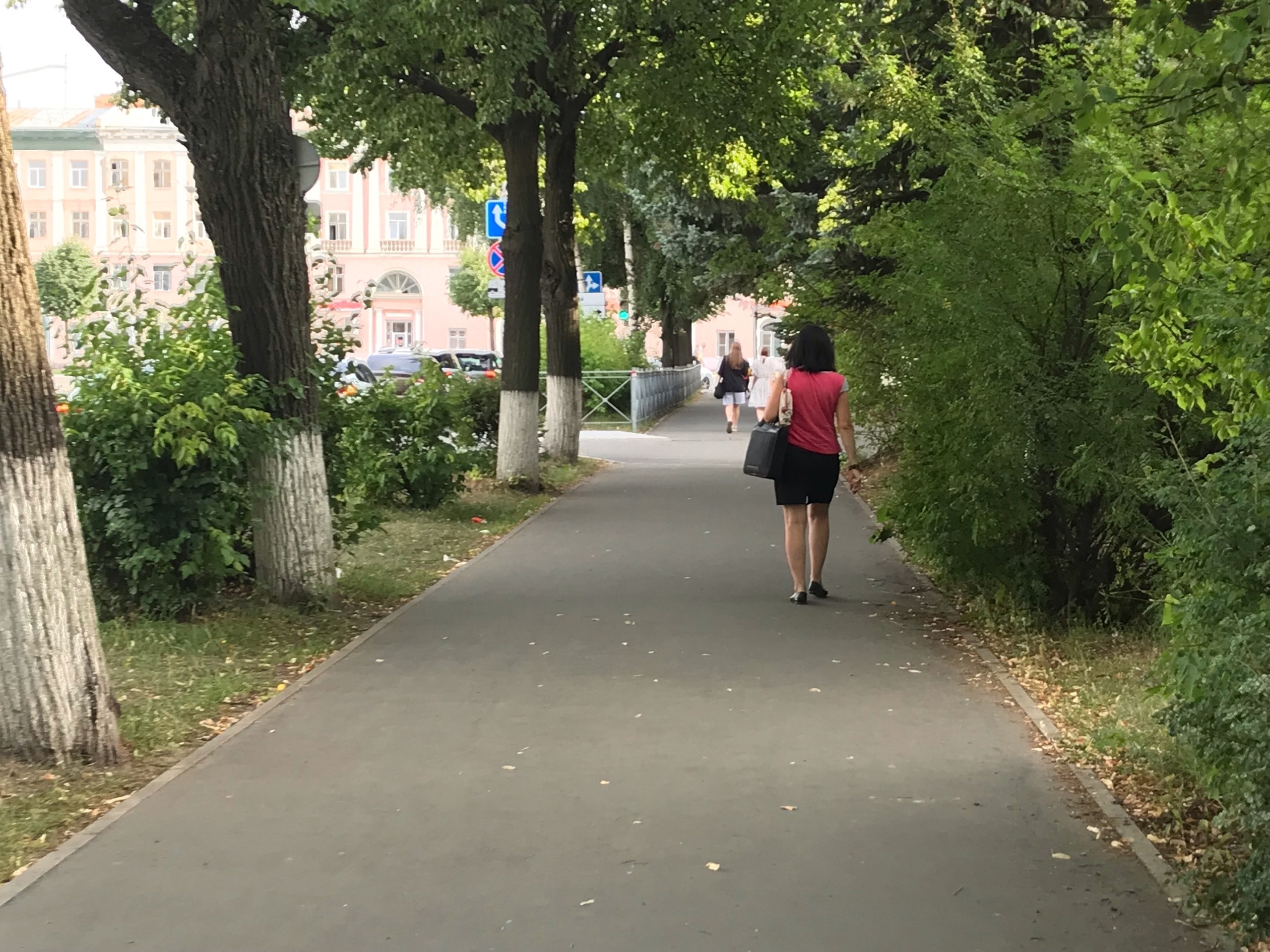 Жительницу Кировской области накажут за нападение на полицейского в Йошкар-Оле