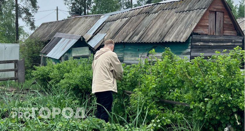 Сосед поделился секретом: это эффективное средство, чтобы огурцы давали по тазу плодов, и оказалось, что он абсолютно прав