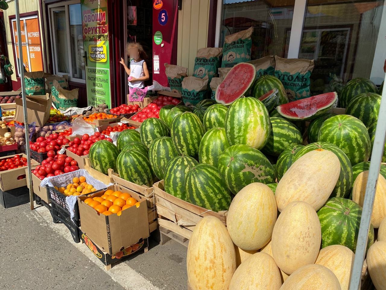 Поможет мгновенно найти самую спелую дыню - самый рабочий метод