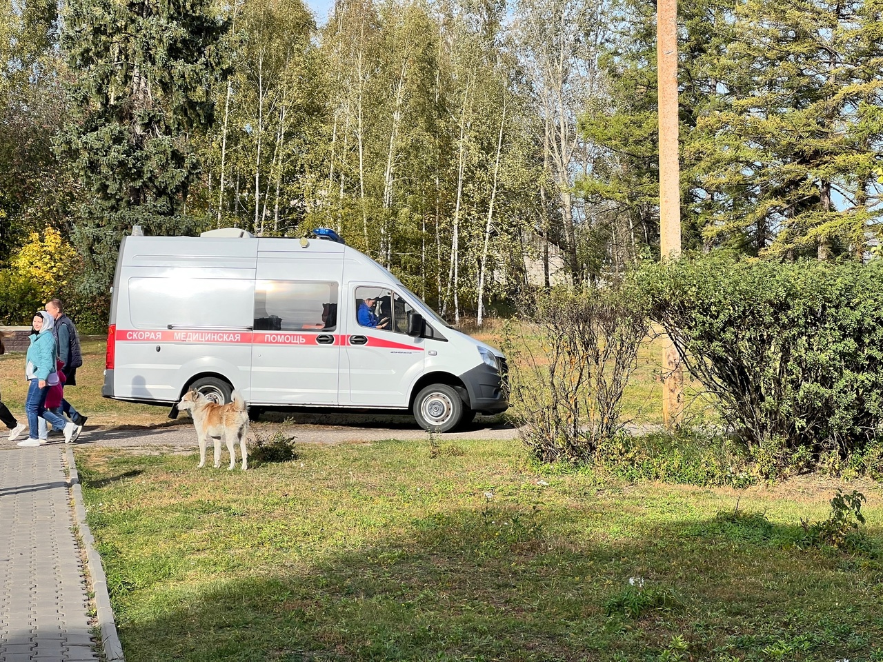 Садовые работы обернулись смертельным заражением почек для двух жителей Йошкар-Олы