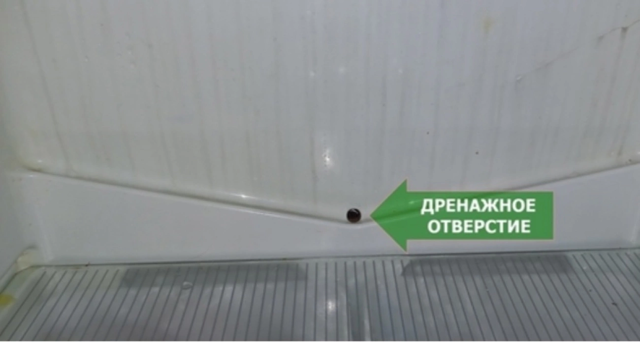 Продлит жизнь холодильнику в 2 раза: обычный предмет из аптечки творит чудеса