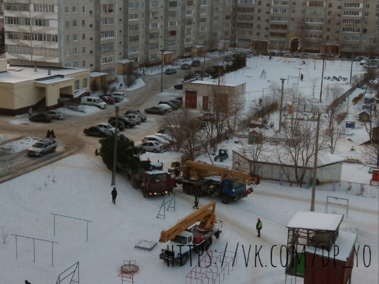 В Йошкар-Оле срубили ель в одном дворе и поставили ее в другом | 24.12.2020  | Йошкар-Ола - БезФормата